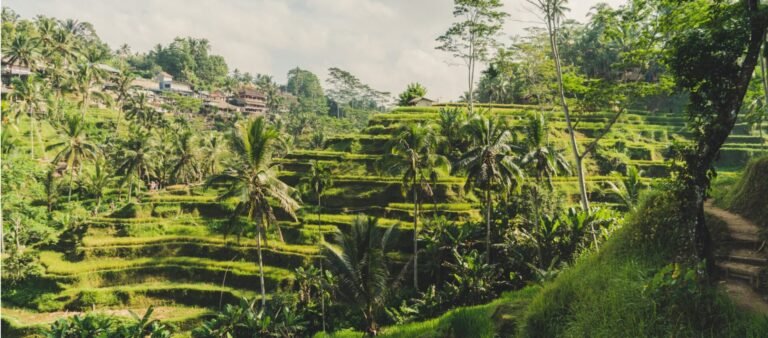 Ricefield Ubud - Abisena Resort Ubud