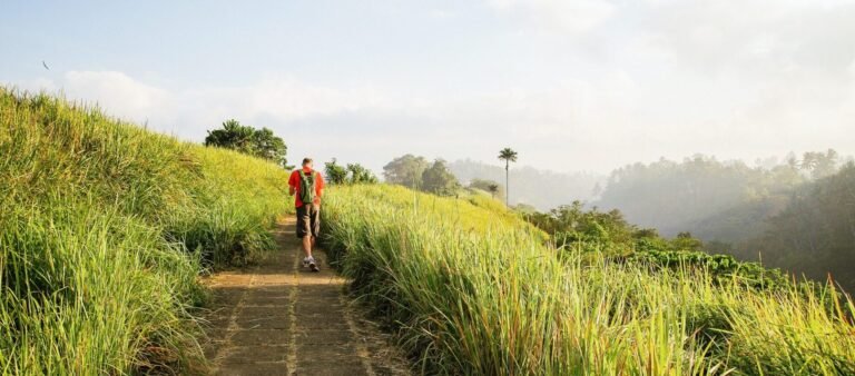 Ricefield Ubud - Abisena Resort Ubud