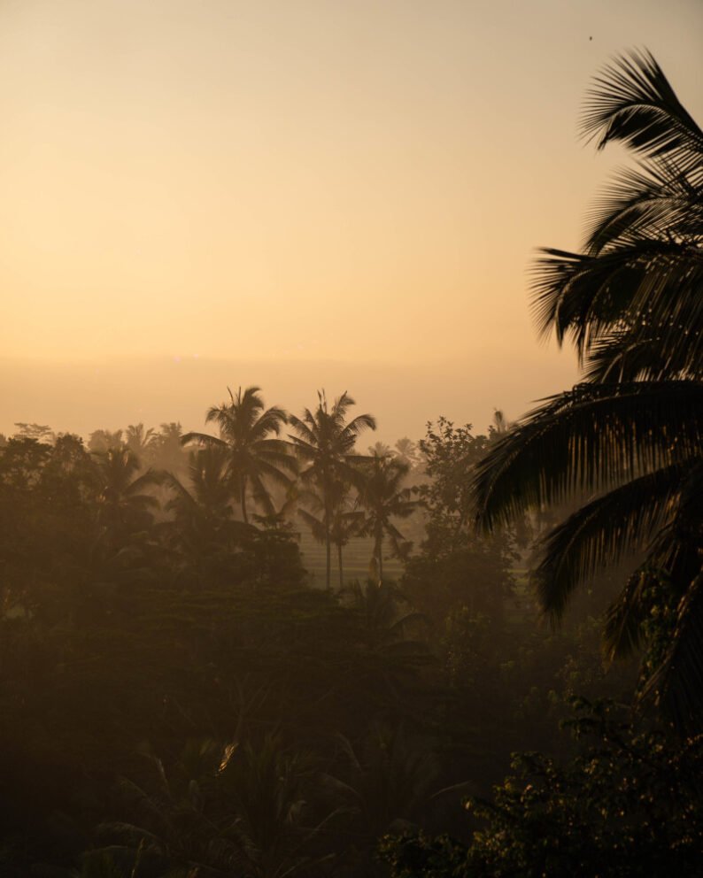 Our Story - Abisena Resort Ubud