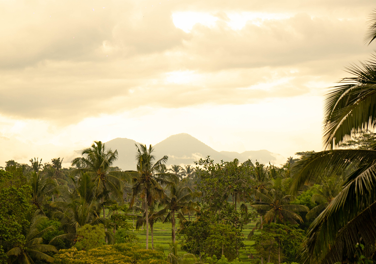 Abisena Wellness Hotel and Resort in Ubud