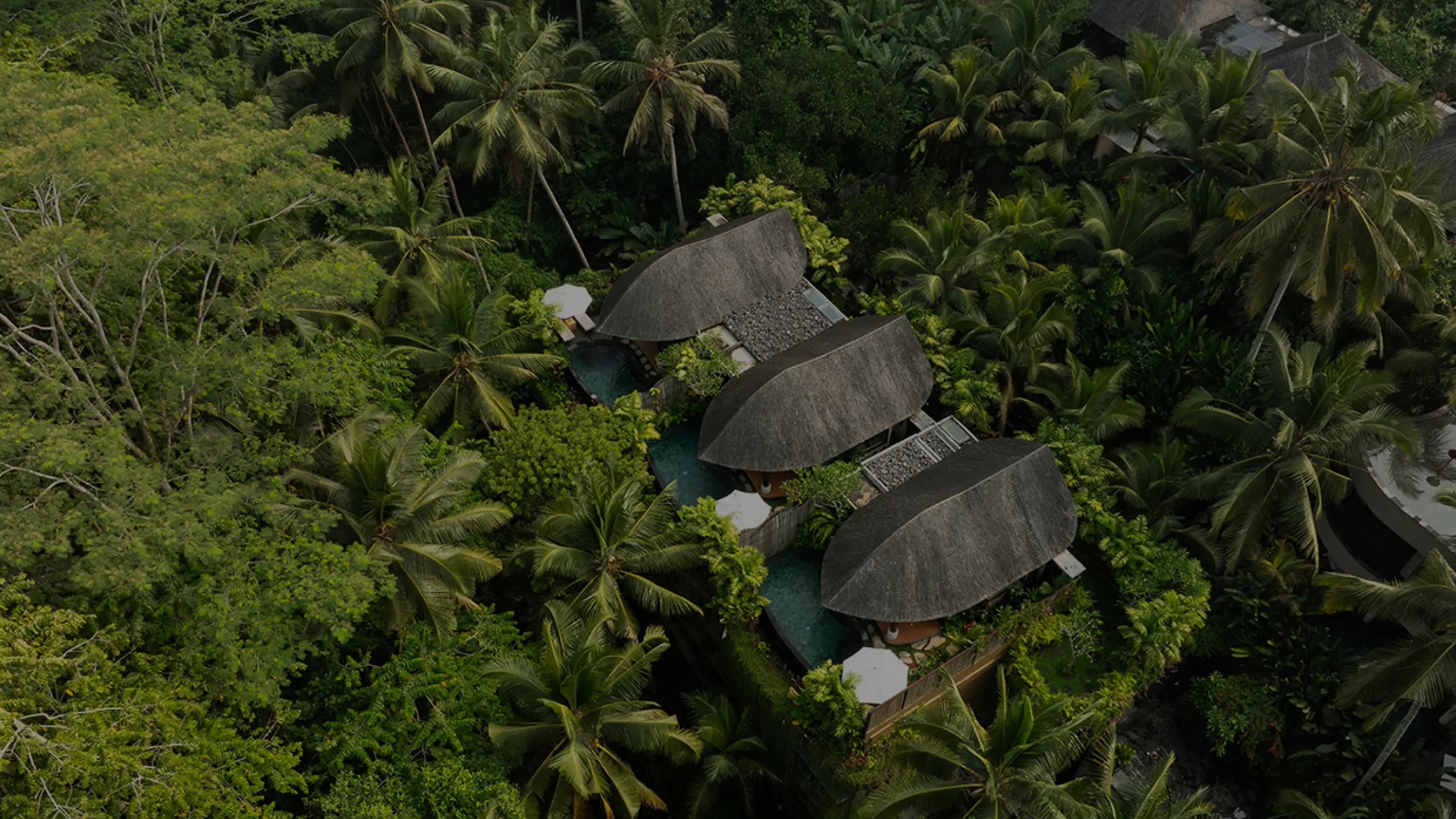 3 rooms surrounded by forest.