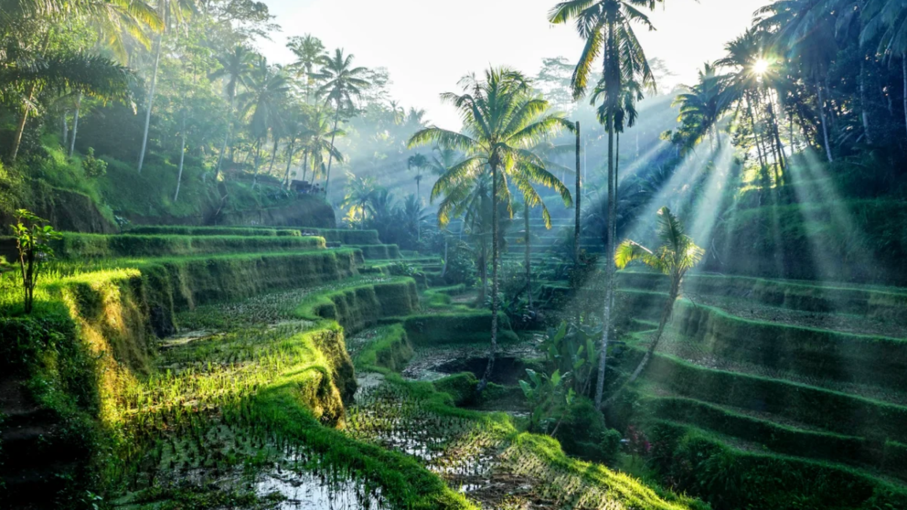 is ubud worth visiting