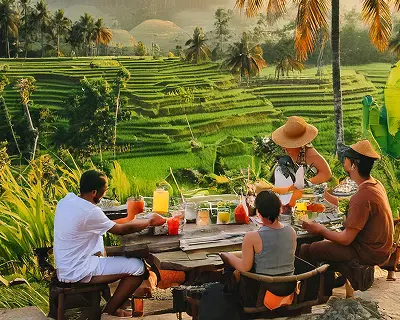 A group enjoying a meal with a view of the rice fields.