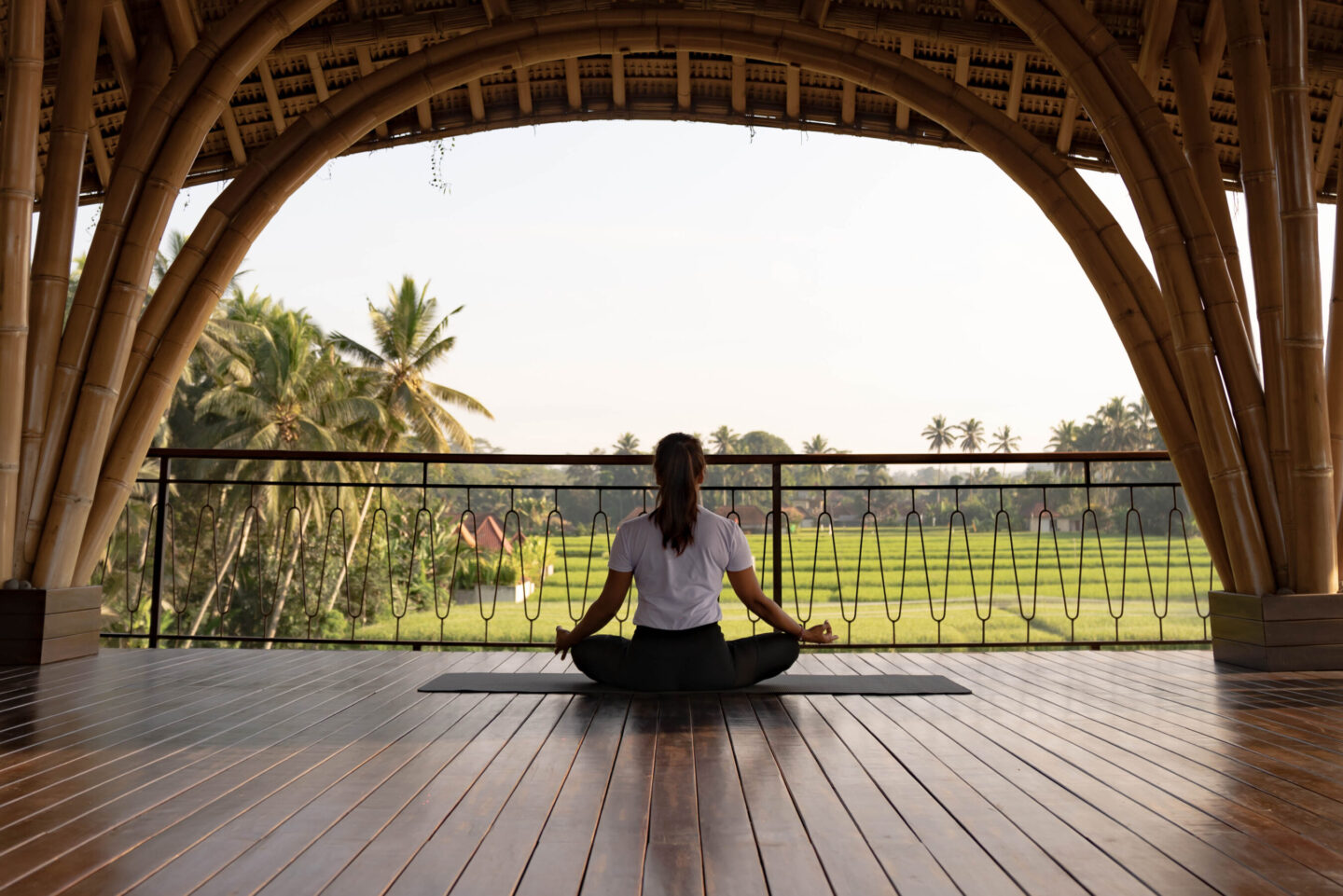 Yoga with a view of the rice fields.