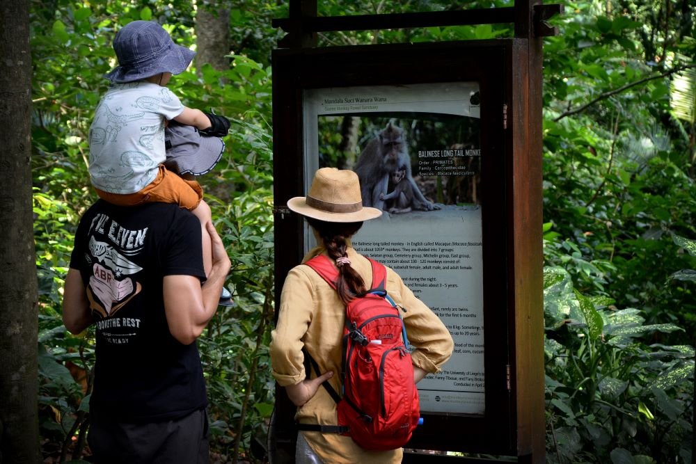Monkey forest ubud photos