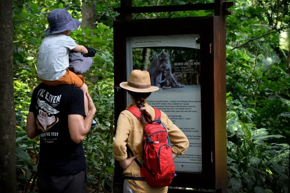 Monkey forest ubud photos