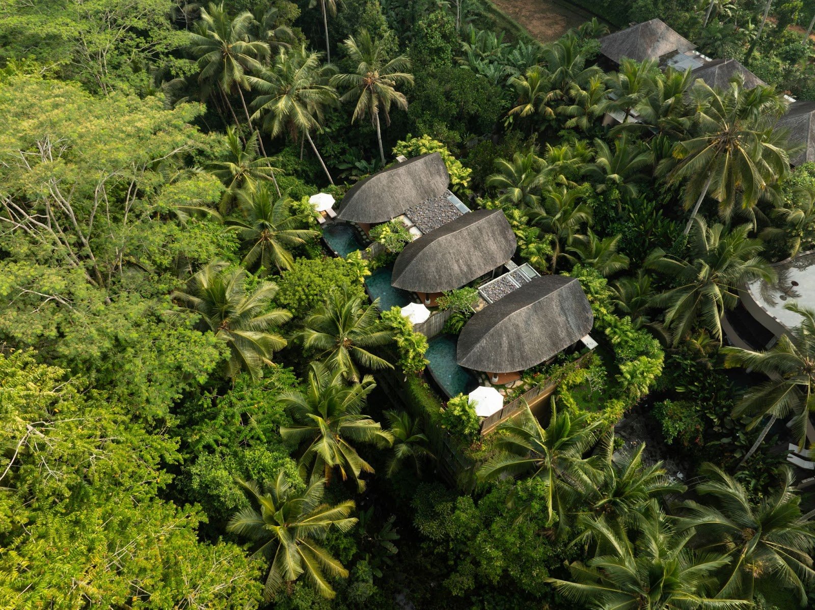 Abisena Wellness and Resort Ubud views, Luxury Hotel near Ubud Monkey Forest