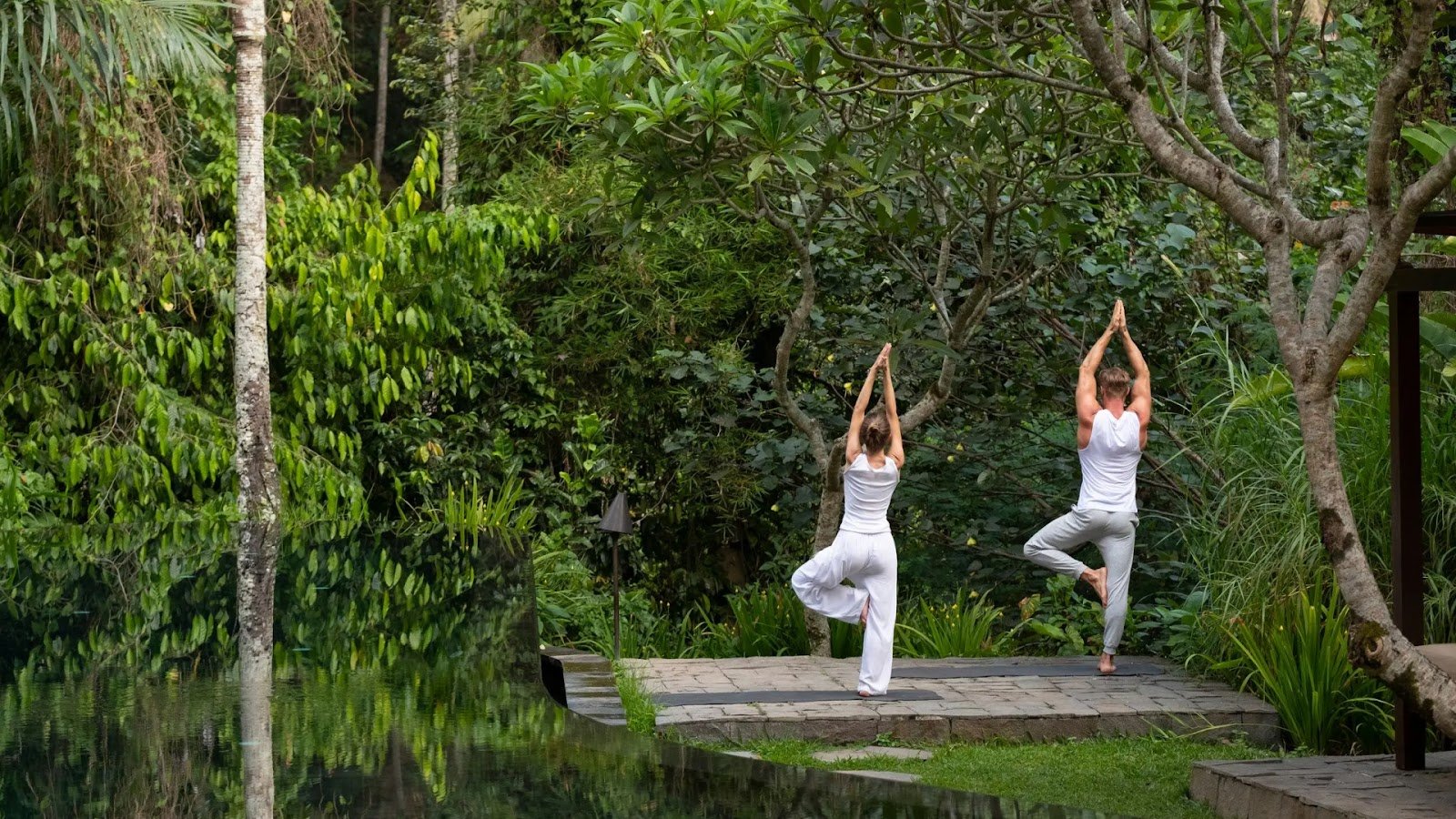 Wellness, Yoga, and Couple Spa