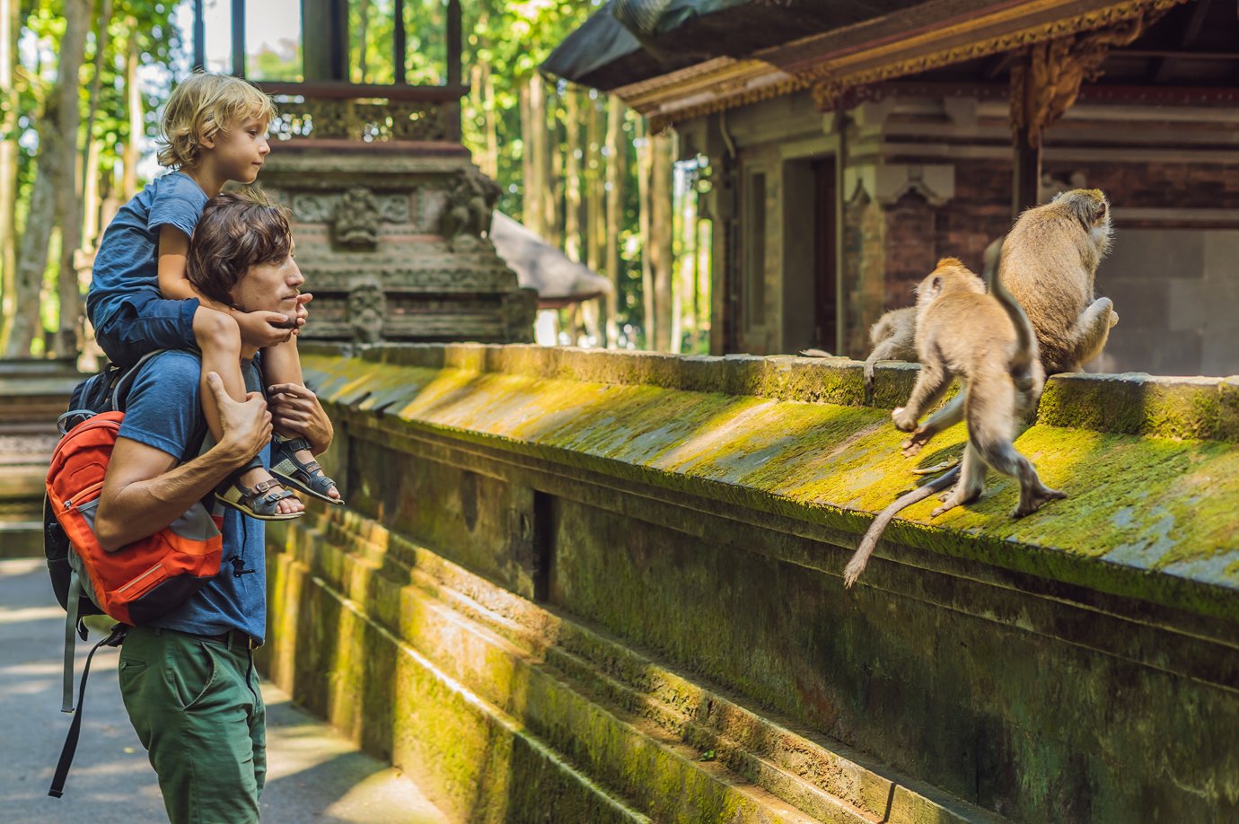 Tourist interaction with monkey forest Ubud