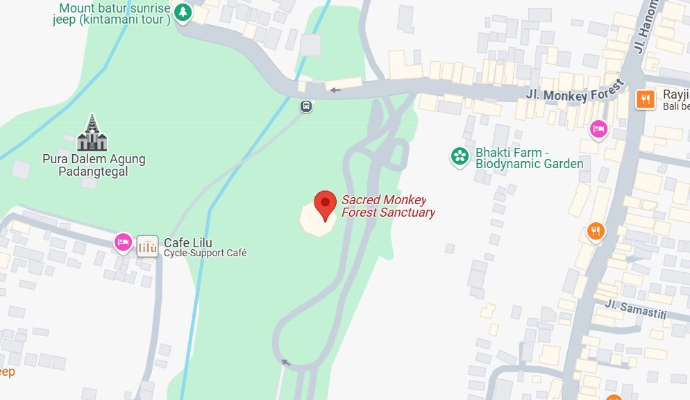 Where's the ubud monkey forest located