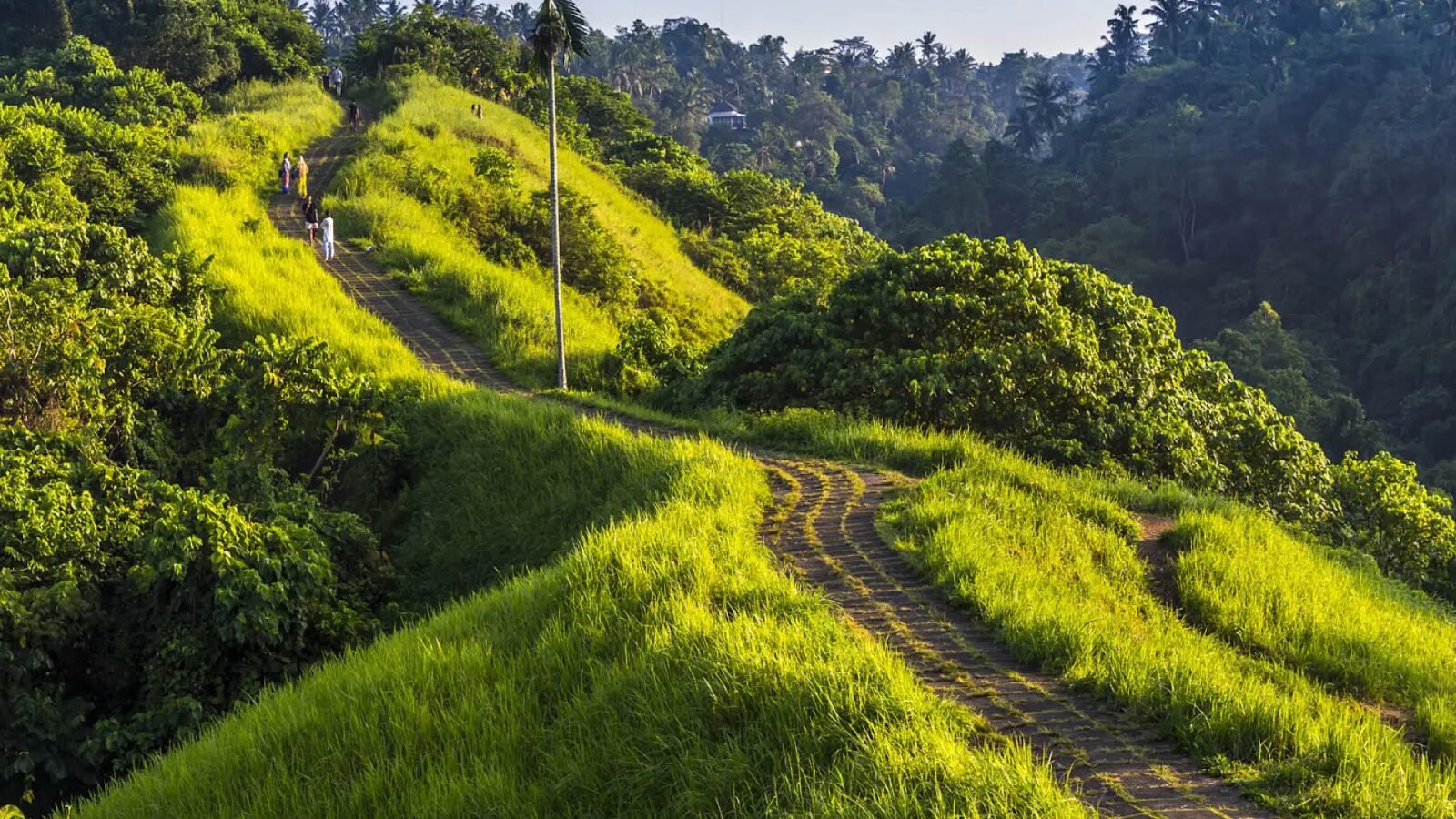 Campuhan Ridge Walk