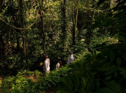 Ubud's Natural Wonders