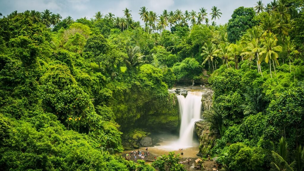 Ubud’s Waterfalls