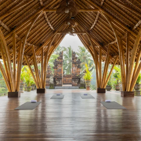 yoga shala in ubud