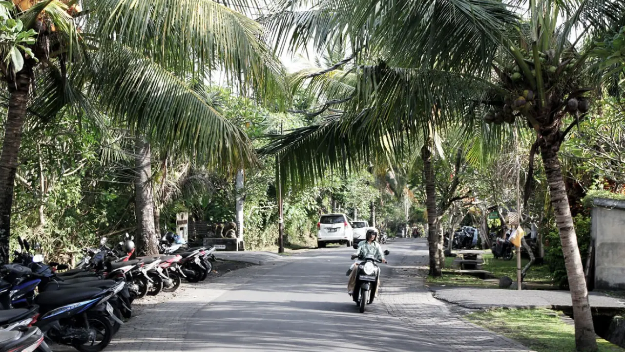 Nyuh Kuning