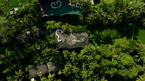 Where to Watch Sunrise in Ubud: A Gentle Morning Ritual