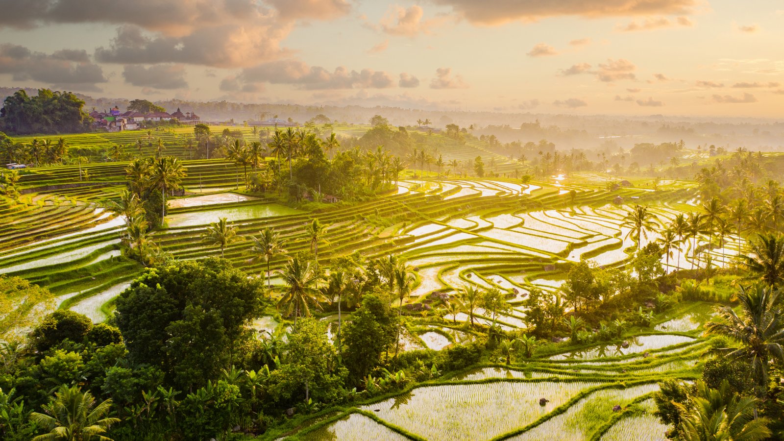 How to Catch the Best Sunrise in Ubud