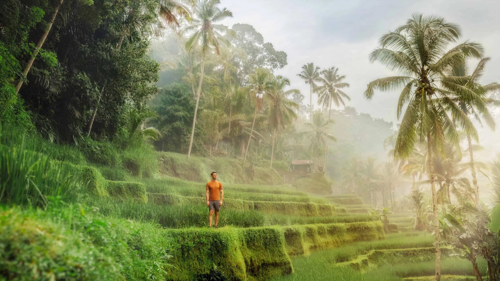 Tegalalang Rice Terrace