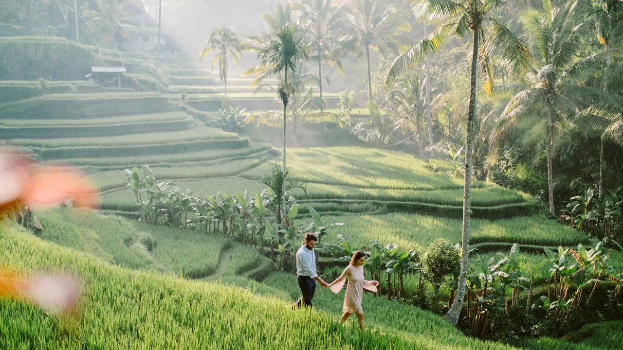 Tegallalang Rice Terraces