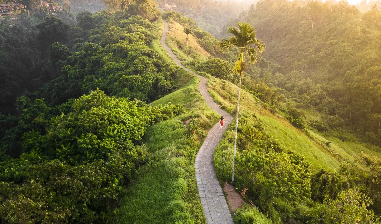 Campuhan Ridge Walk
