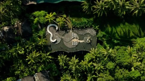 best proposal spot in Ubud