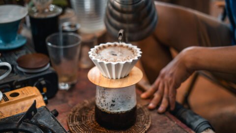 Ubud Coffee Plantation Tour Guide