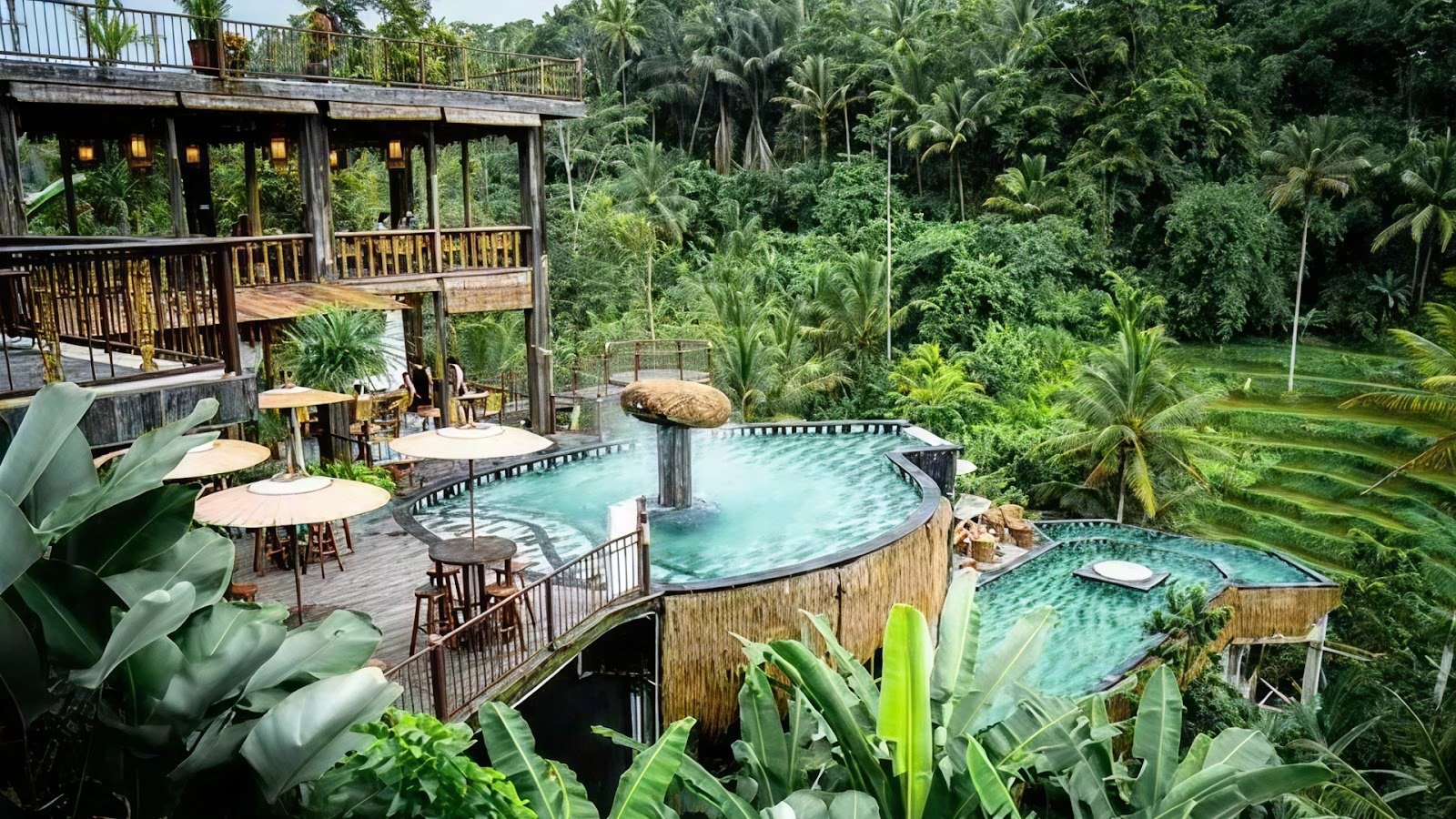 Segara Windhu Coffee Plantation