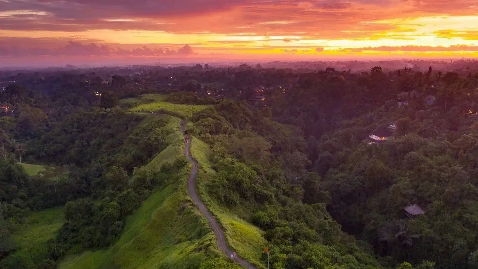 Campuhan Ridge Walk