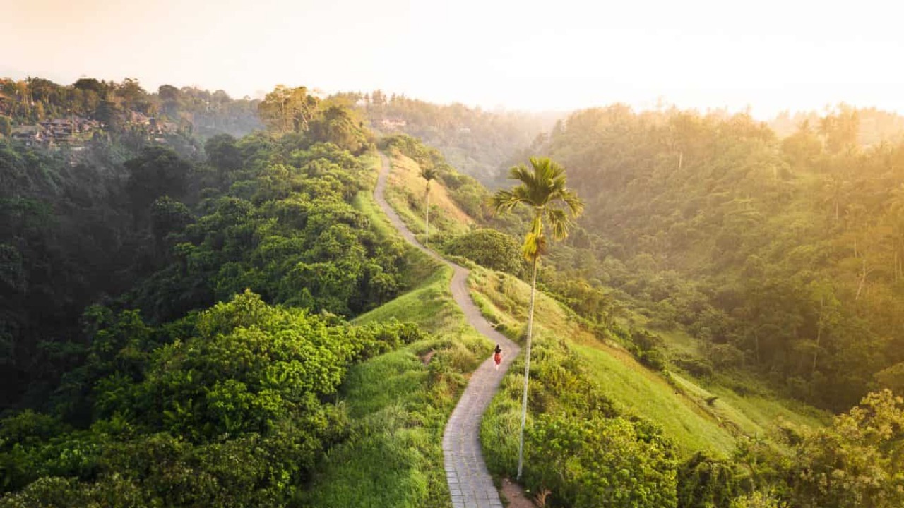 2. Walk the Campuhan Ridge at Golden Hour
