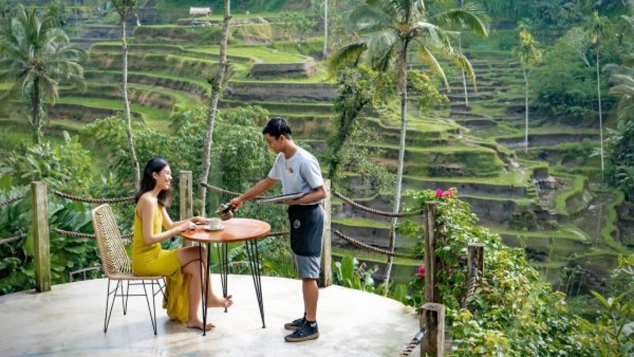 14. Jungle Swings & Rice Terrace Cafés