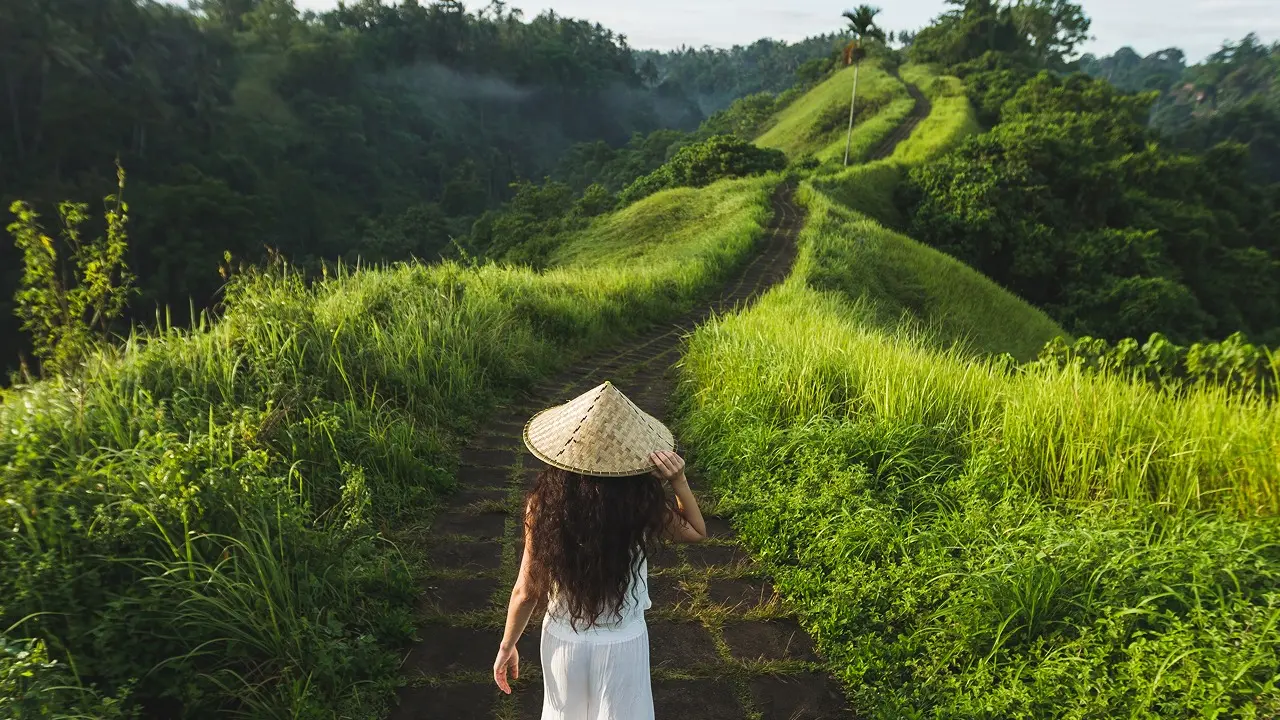 Campuhan Ridge Walk 