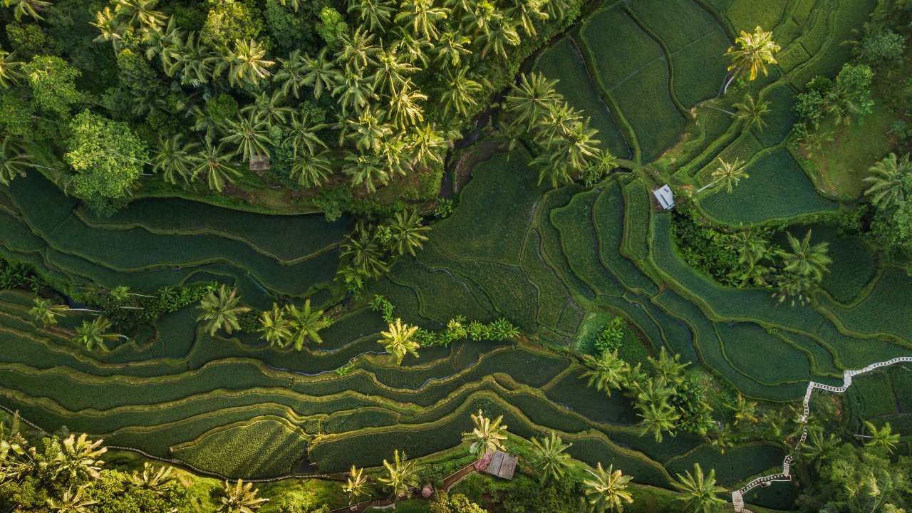 12. Fine Dining & Culinary Experiences