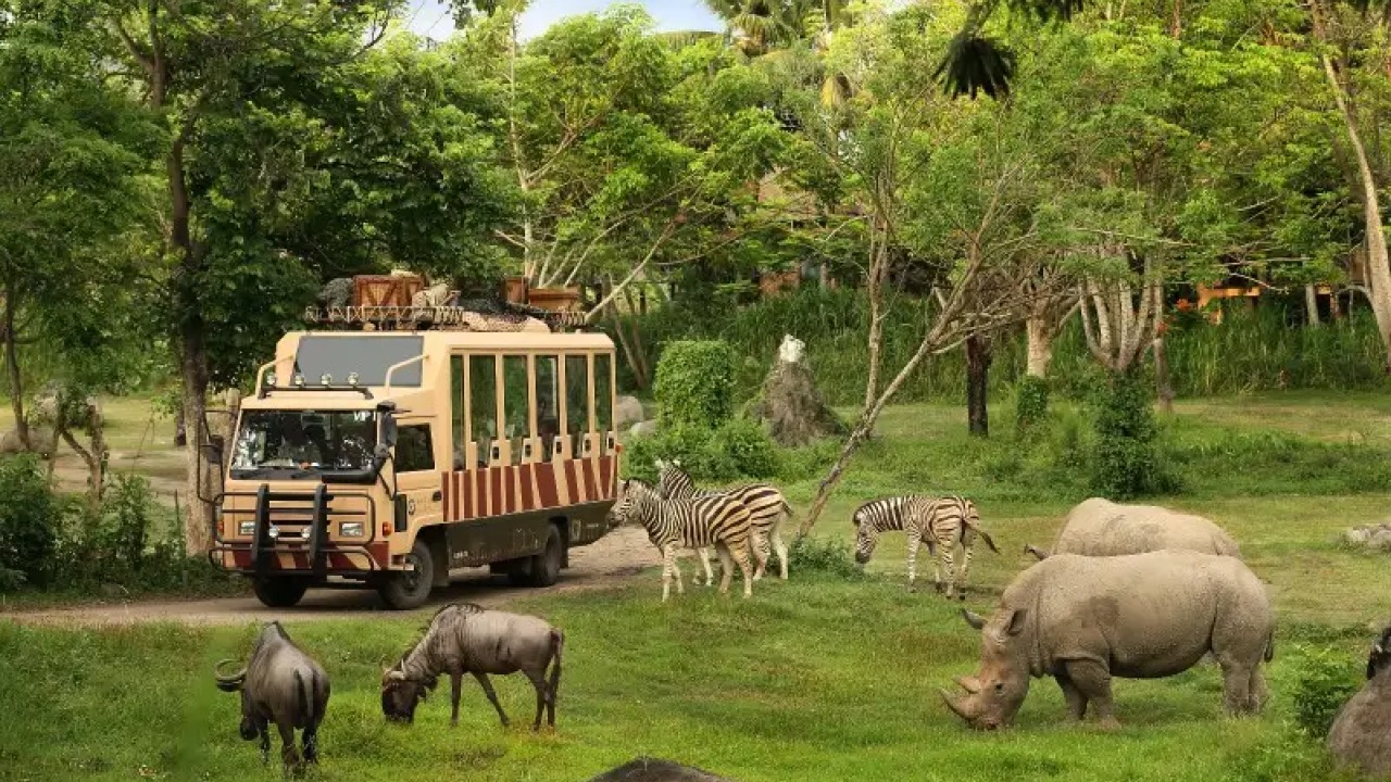 13. Visit Bali Zoo or Bali Safari