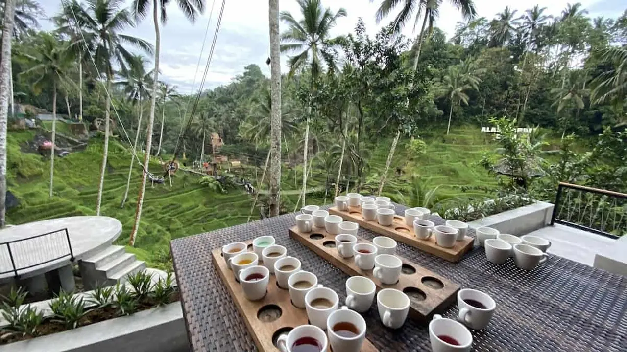 9. Tour a Coffee Plantation