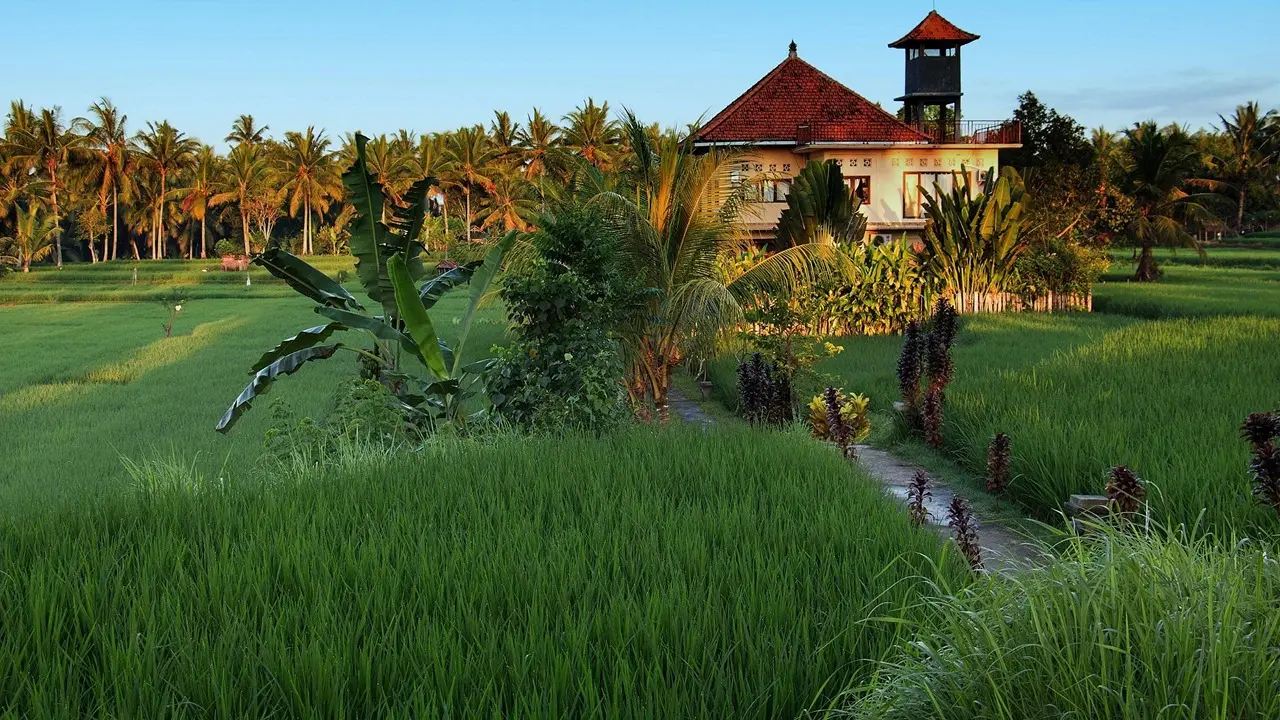 Subak Juwuk Manis