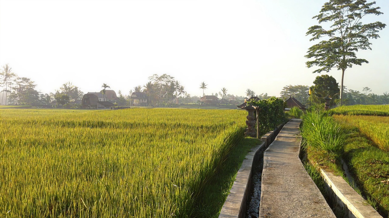 Campuhan Ridge Walk