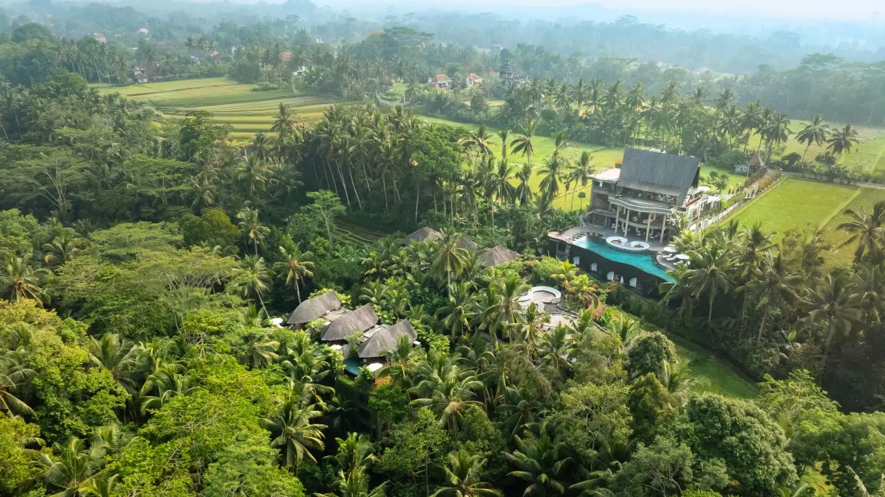 Best Area For Wellness: Keliki